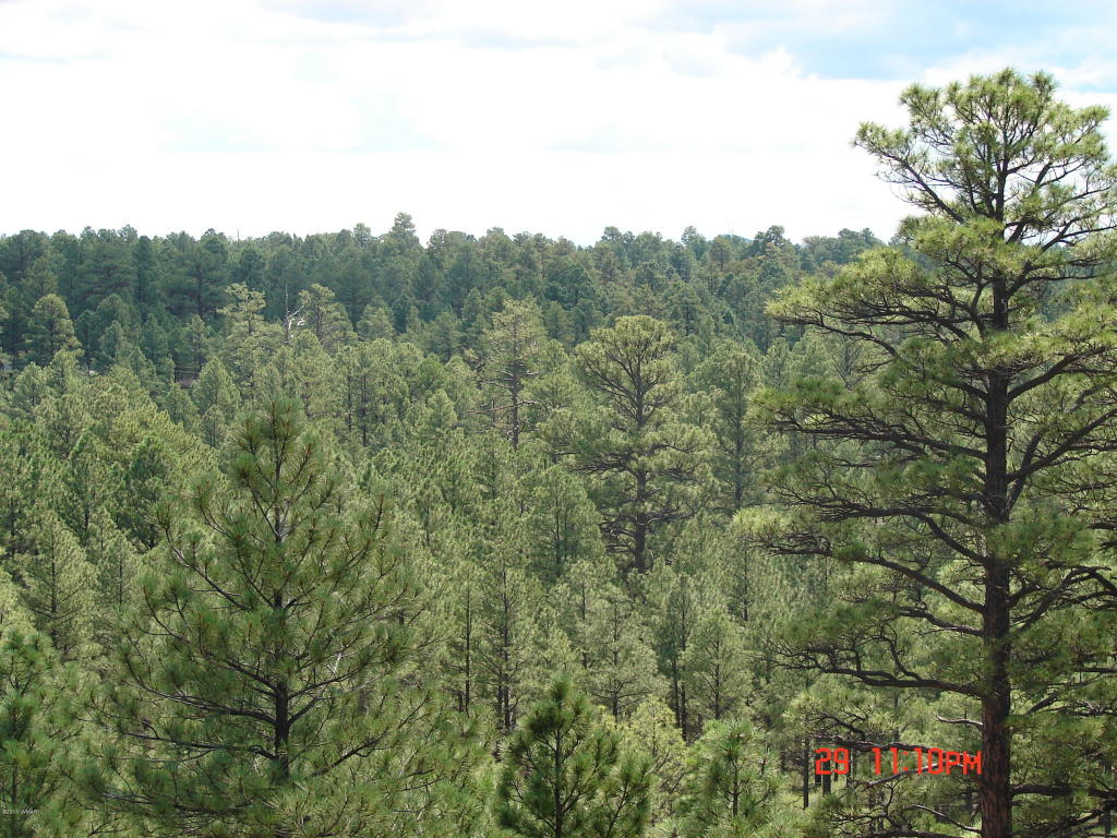 1540 N Stagecoach Circle, Show Low, AZ 85901