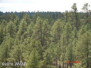 1540 N Stagecoach Circle, Show Low, AZ 85901