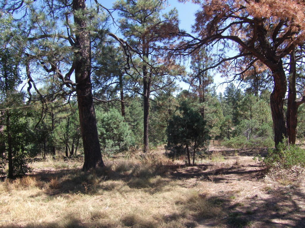 2272 Maryanne Road, Show Low, AZ 85901