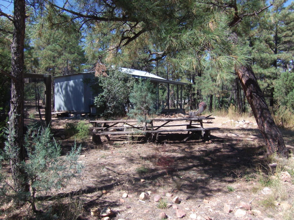 2272 Maryanne Road, Show Low, AZ 85901