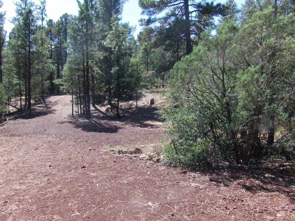 2272 Maryanne Road, Show Low, AZ 85901