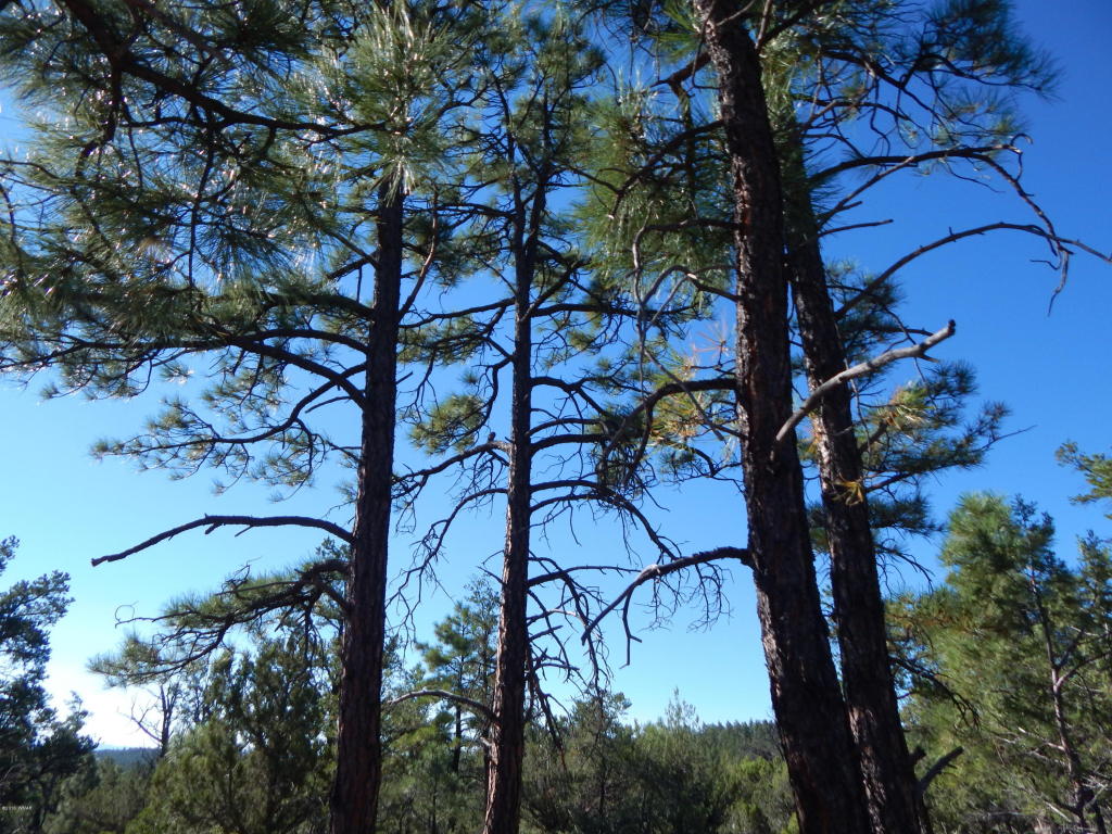 2355 S PLEASANT VIEW Drive, Show Low, AZ 85901
