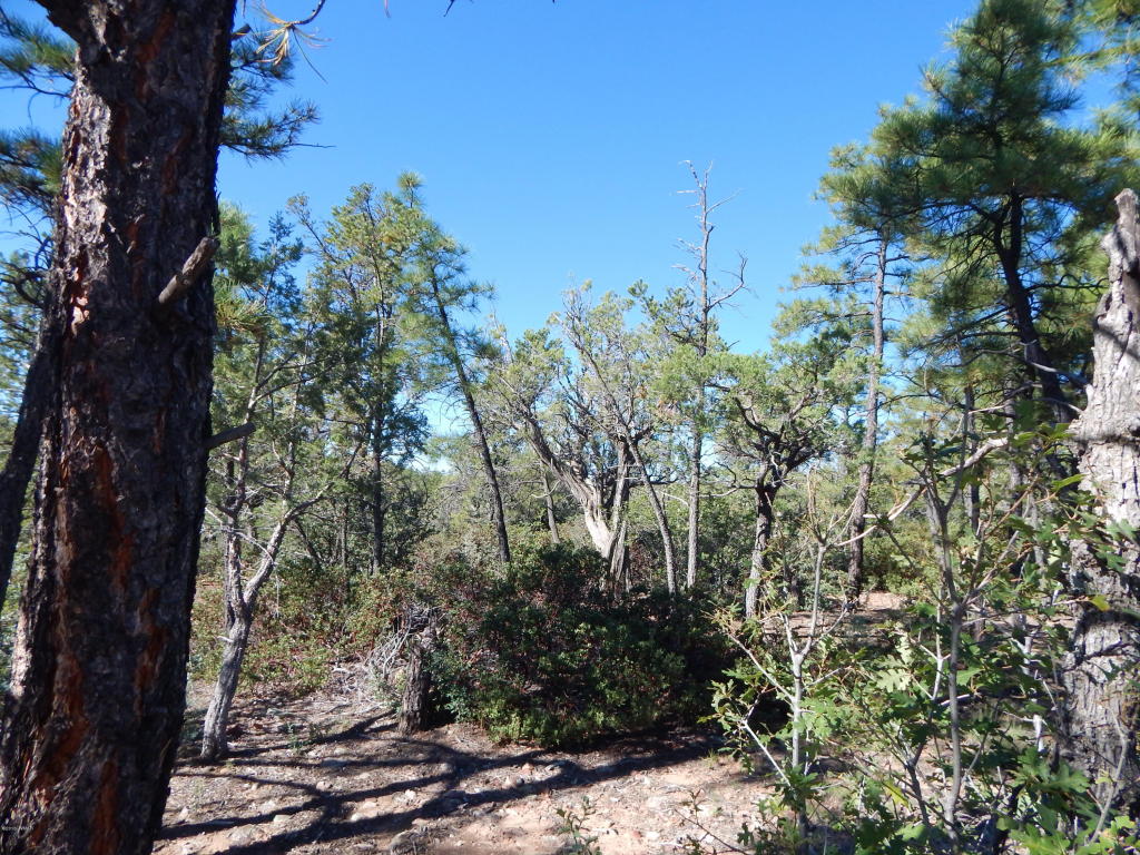 2355 S PLEASANT VIEW Drive, Show Low, AZ 85901