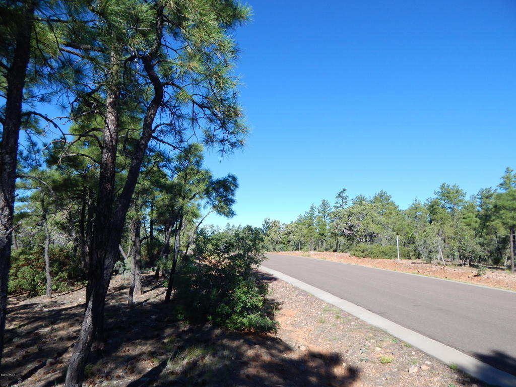 2355 S PLEASANT VIEW Drive, Show Low, AZ 85901