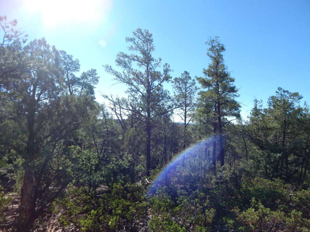 2355 S PLEASANT VIEW Drive, Show Low, AZ 85901