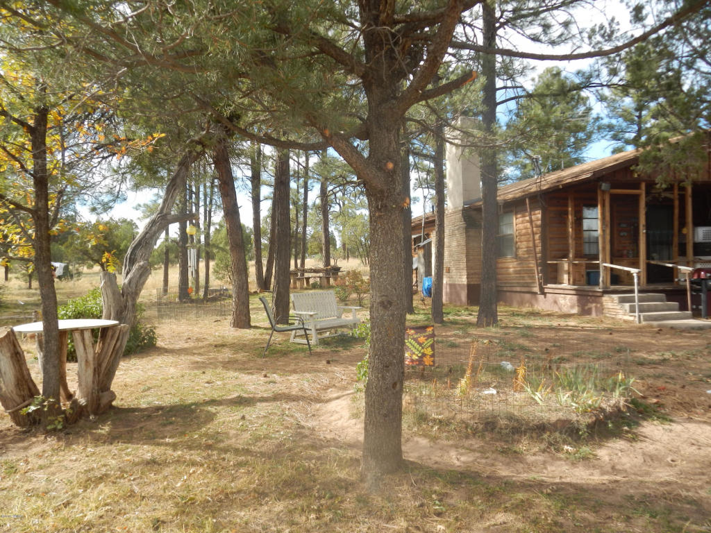 6922 ACES HIGH Road, Show Low, AZ 85901