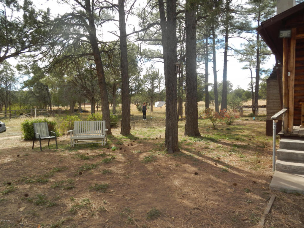 6922 ACES HIGH Road, Show Low, AZ 85901