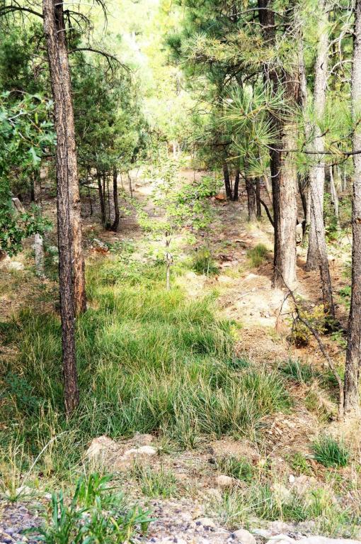 2310 E HANGING TREE, Show Low, AZ 85901