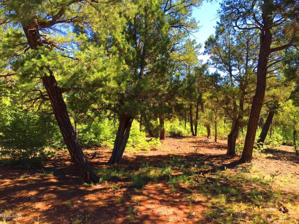 2131 S ELK RUN Drive, Show Low, AZ 85901