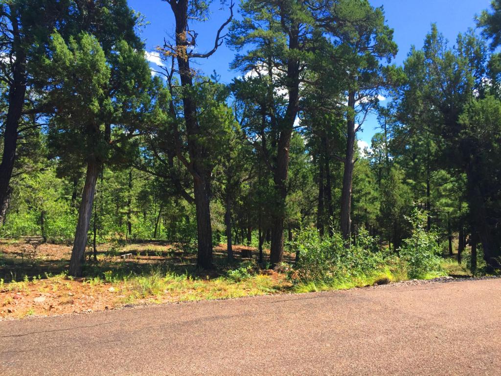 2131 S ELK RUN Drive, Show Low, AZ 85901
