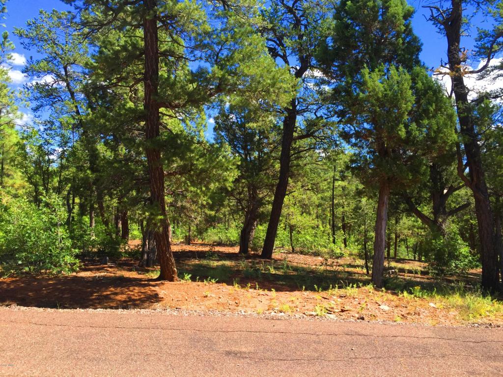 2131 S ELK RUN Drive, Show Low, AZ 85901