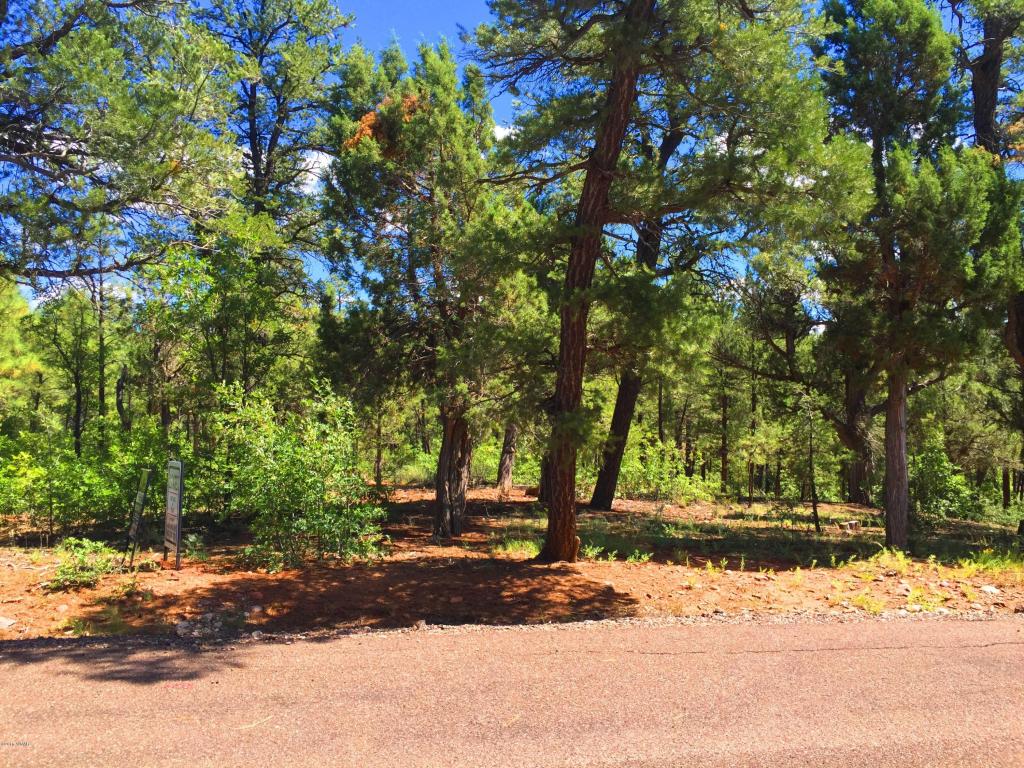2131 S ELK RUN Drive, Show Low, AZ 85901