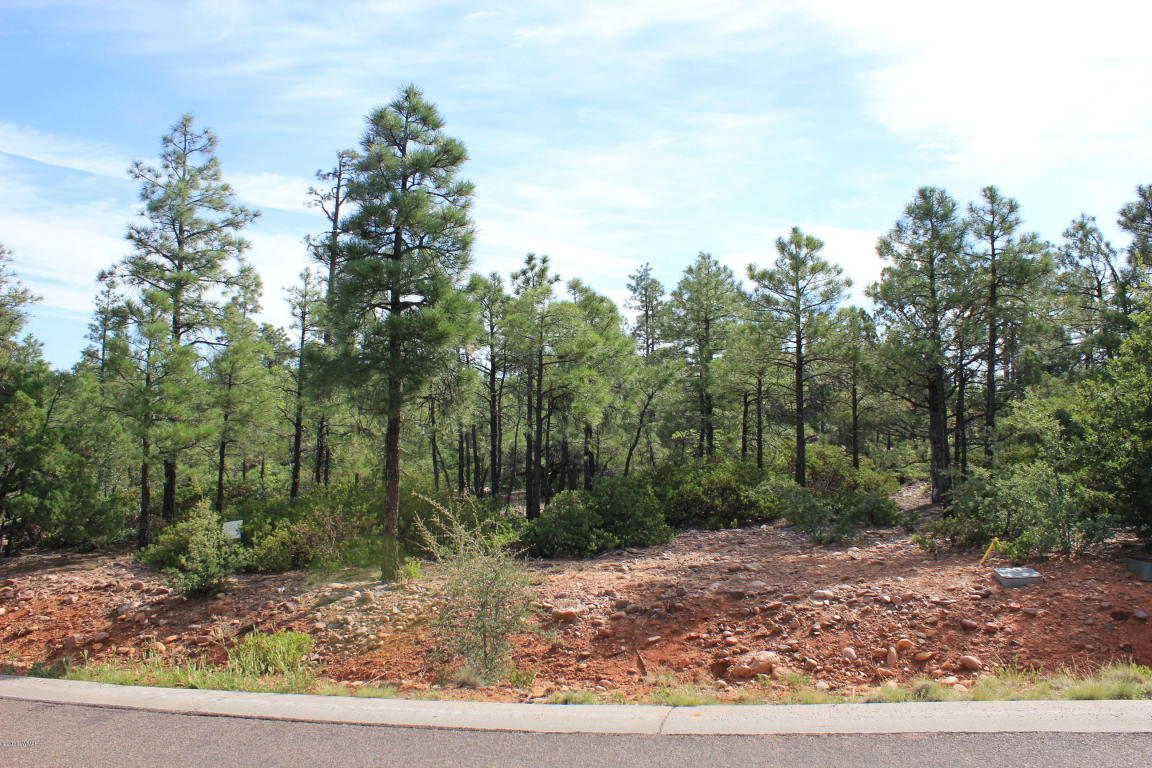 2130 S TWIN PEAKS Trail, Show Low, AZ 85901
