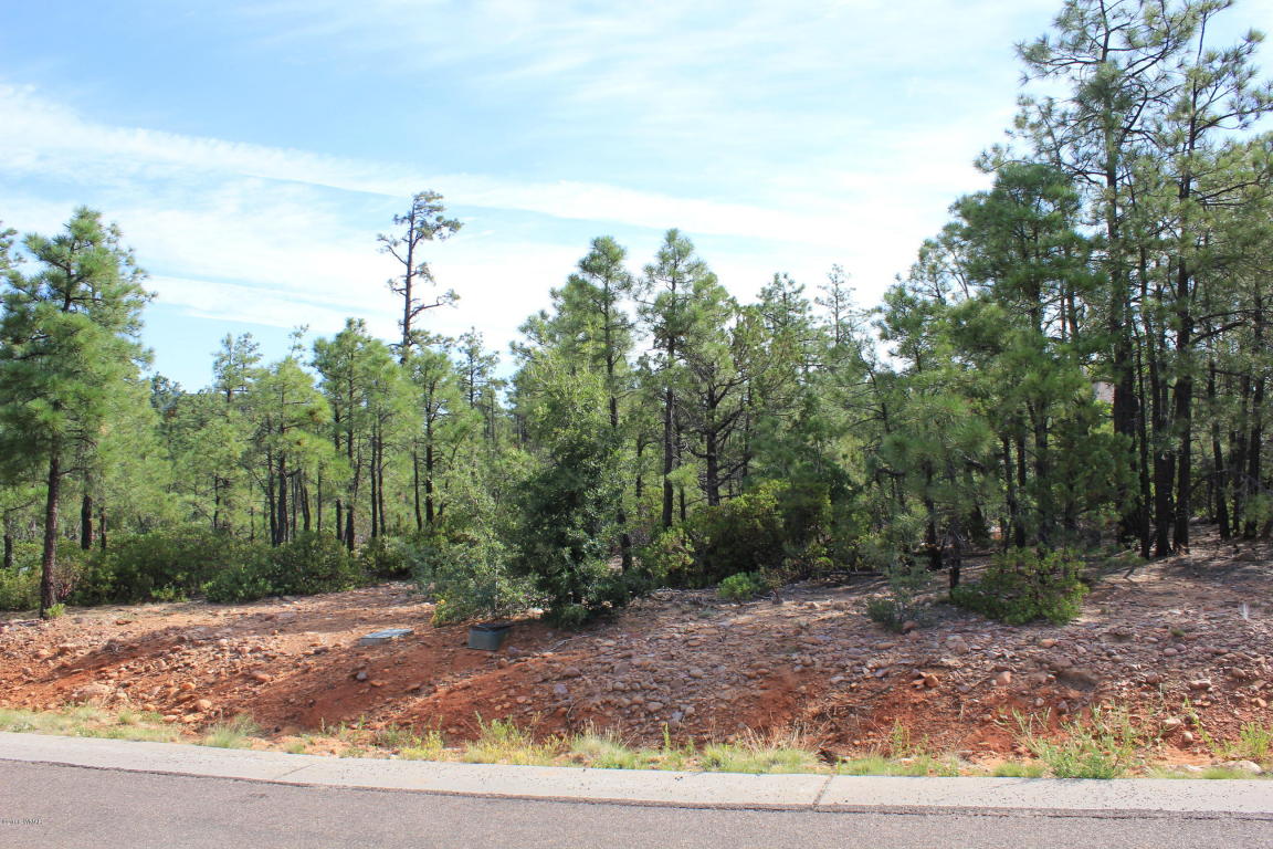2130 S TWIN PEAKS Trail, Show Low, AZ 85901