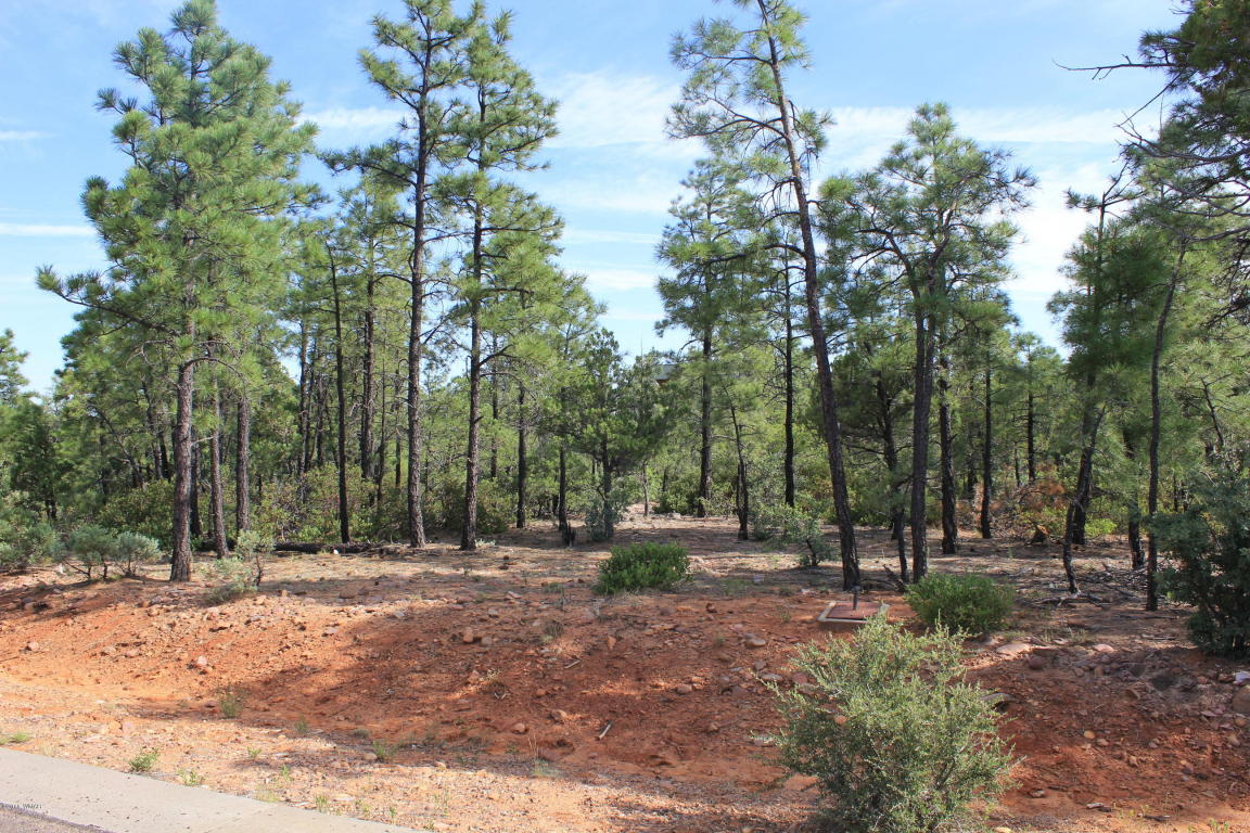 2130 S TWIN PEAKS Trail, Show Low, AZ 85901