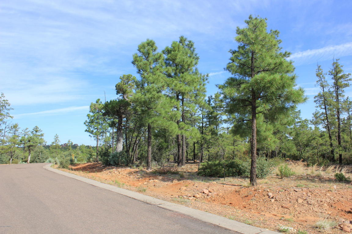 2130 S TWIN PEAKS Trail, Show Low, AZ 85901
