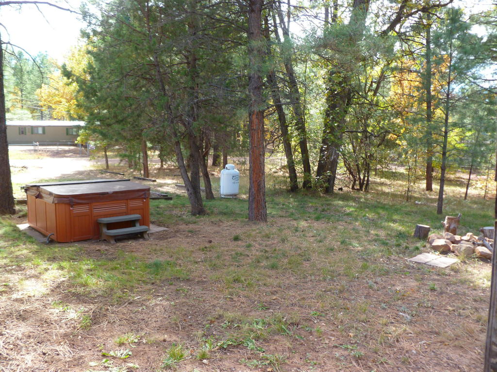 4562 S Indian Trail, Show Low, AZ 85901