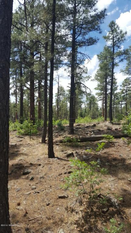 3681 SAGE Lane, Show Low, AZ 85901