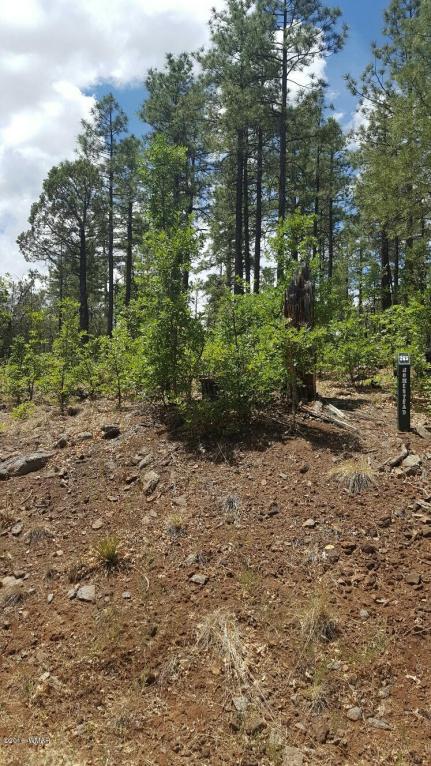 3681 SAGE Lane, Show Low, AZ 85901
