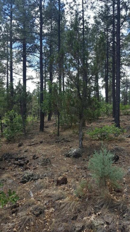 3681 SAGE Lane, Show Low, AZ 85901