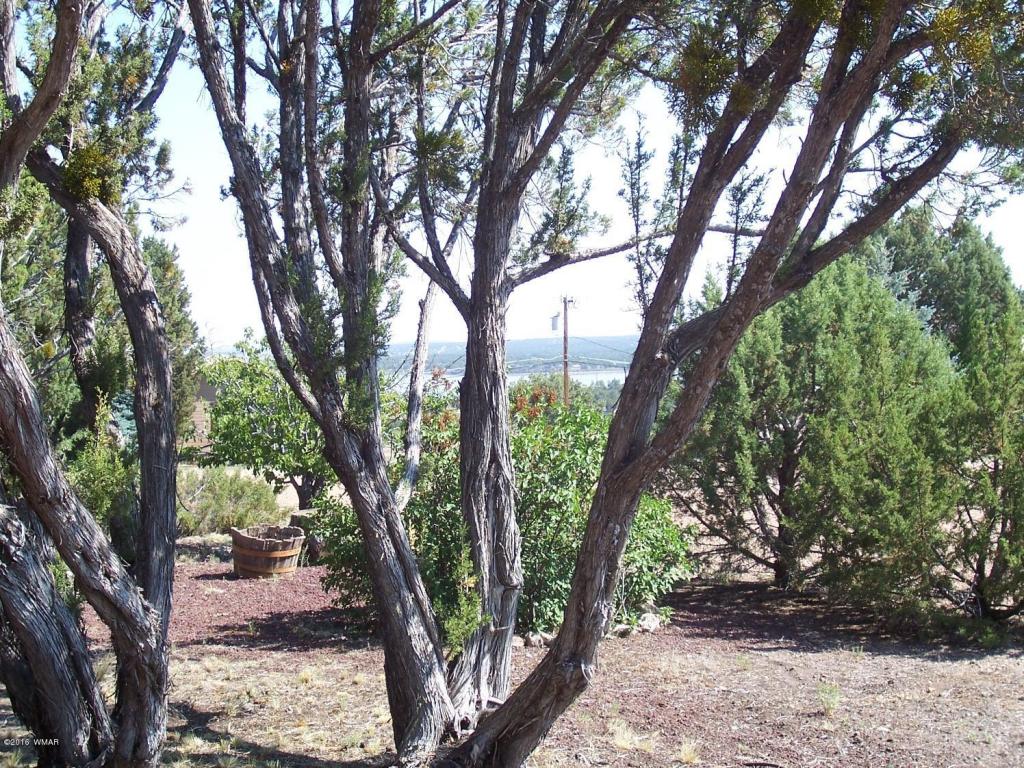 8311 NAVAJO, Show Low, AZ 85901