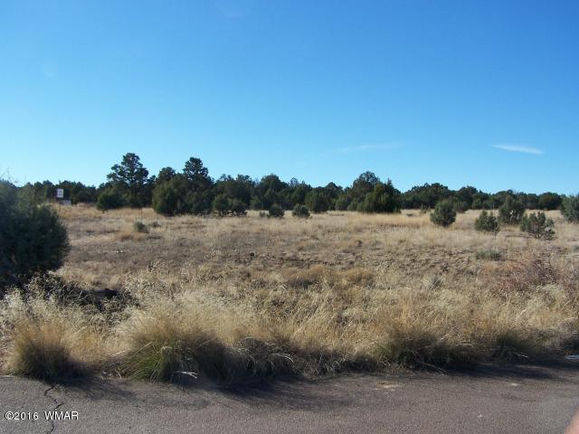 700 S 40th Street, Show Low, AZ 85901