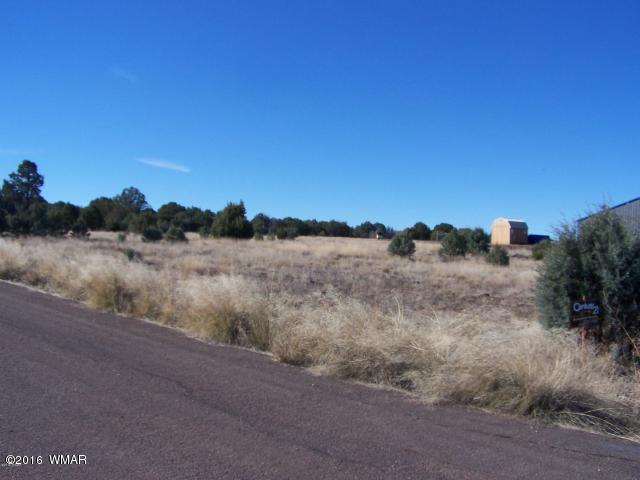 700 S 40th Street, Show Low, AZ 85901