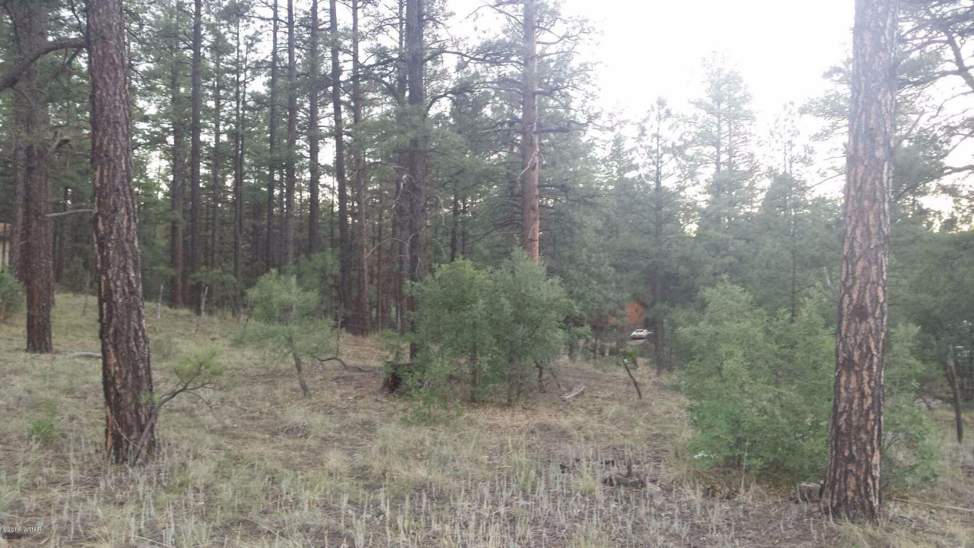 60 S CLARK Road, Show Low, AZ 85901