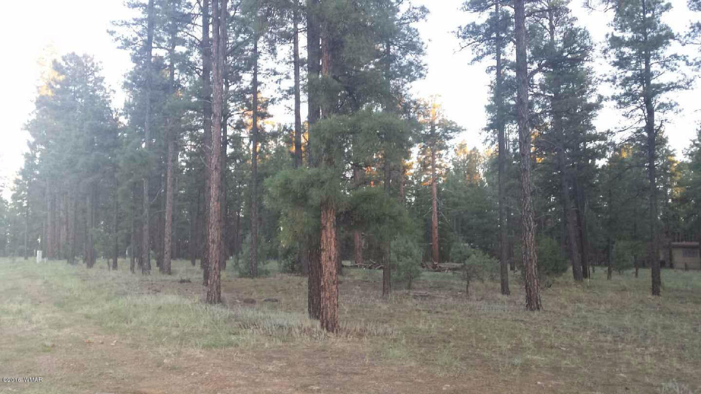 60 S CLARK Road, Show Low, AZ 85901