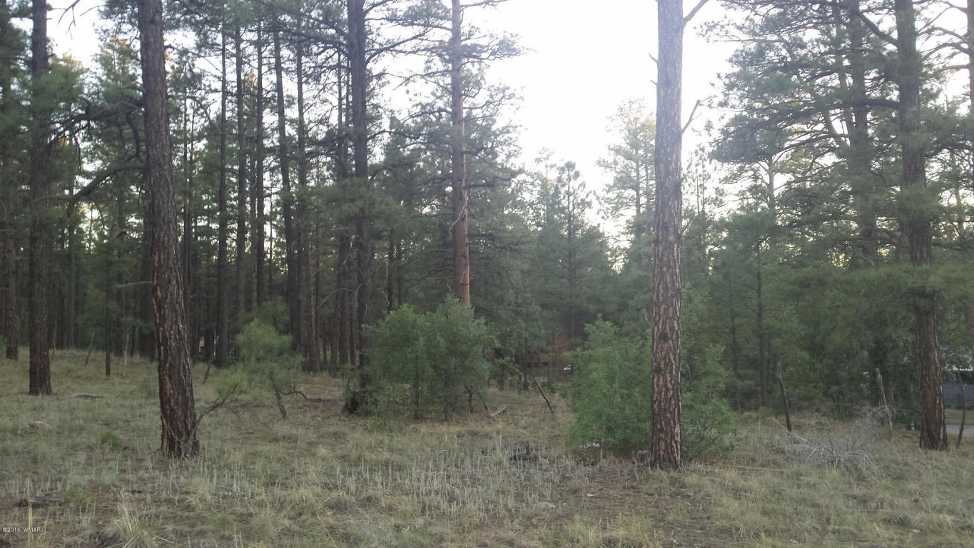60 S CLARK Road, Show Low, AZ 85901