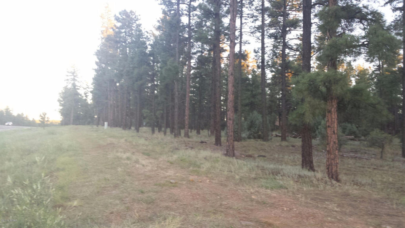 60 S CLARK Road, Show Low, AZ 85901