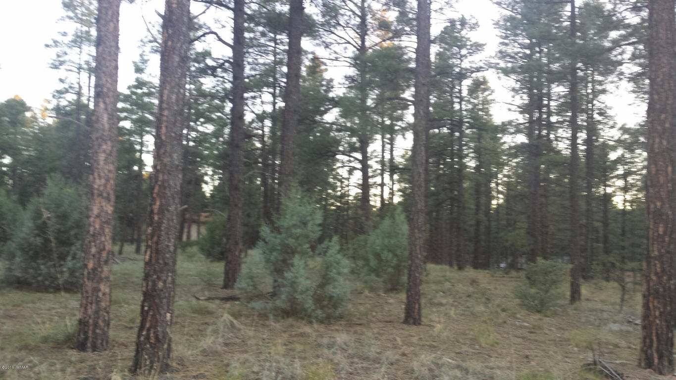 60 S CLARK Road, Show Low, AZ 85901