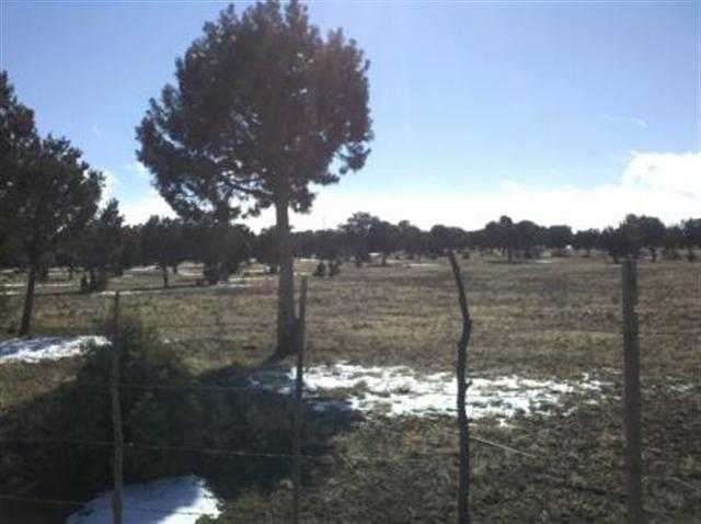 21 acres Turkey Lake Road, Show Low, AZ 85901