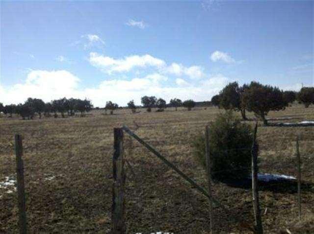21 acres Turkey Lake Road, Show Low, AZ 85901
