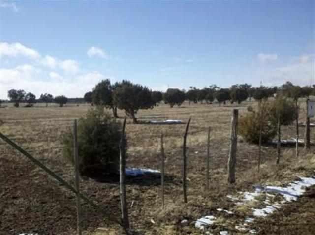 21 acres Turkey Lake Road, Show Low, AZ 85901