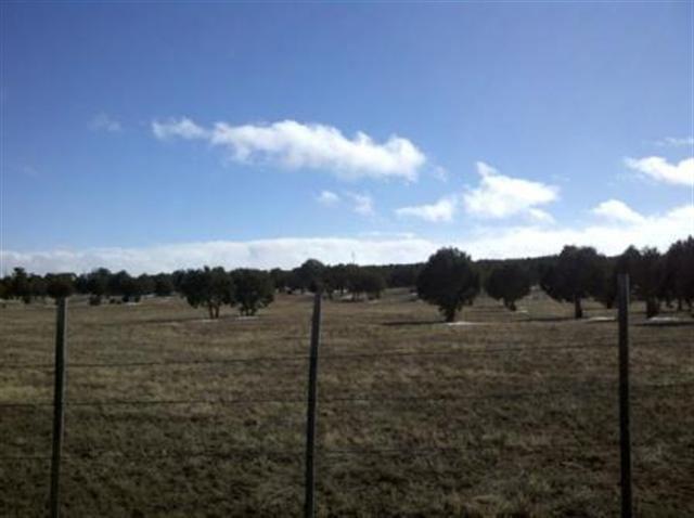 21 acres Turkey Lake Road, Show Low, AZ 85901