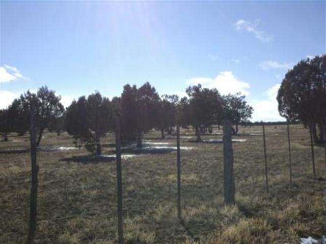 21 acres Turkey Lake Road, Show Low, AZ 85901