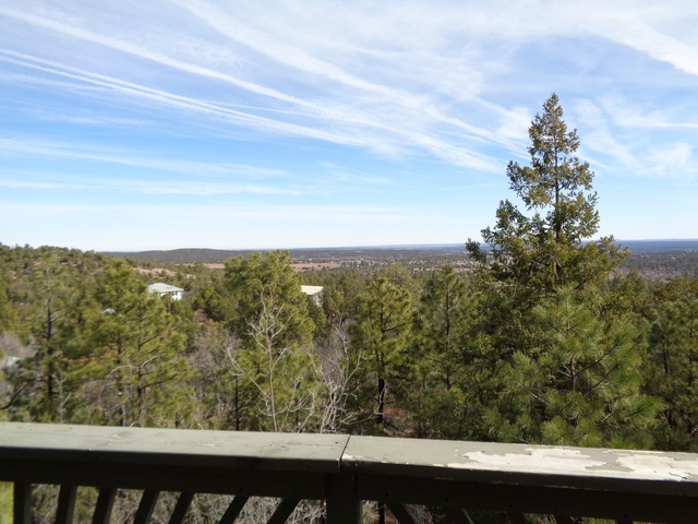 6338 Deer Run RdShow Low, AZ, 85901Navajo County