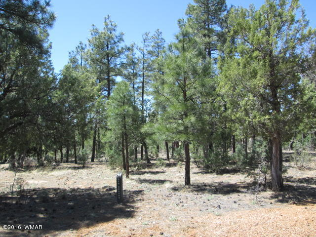 4260 W Sugar Pine Lot 48, Show Low, AZ 85901