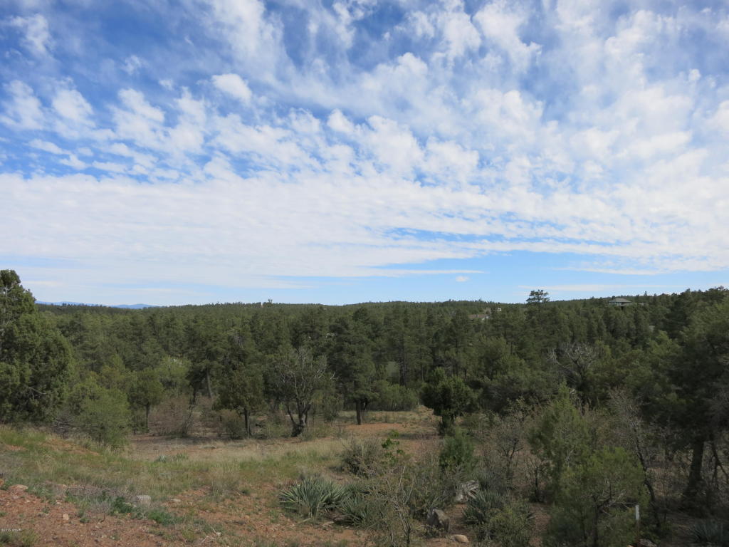 3 acres S 6th Drive, Show Low, AZ 85901