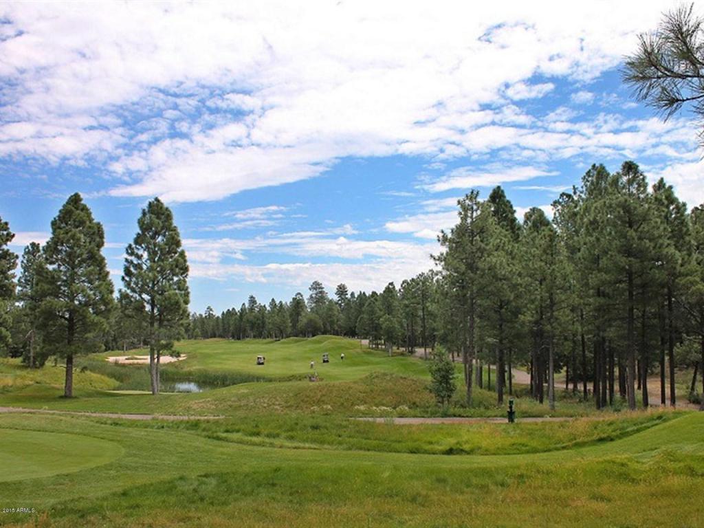 1591 S FALLING LEAF Road, Show Low, AZ 85901