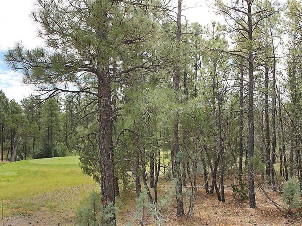 1591 S FALLING LEAF Road, Show Low, AZ 85901