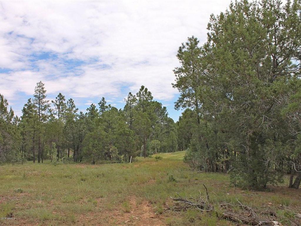 1591 S FALLING LEAF Road, Show Low, AZ 85901