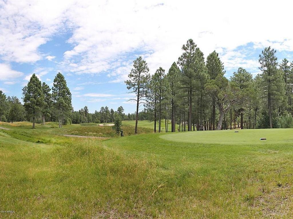 1591 S FALLING LEAF Road, Show Low, AZ 85901