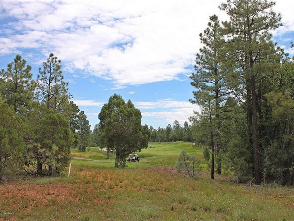 1591 S FALLING LEAF Road, Show Low, AZ 85901