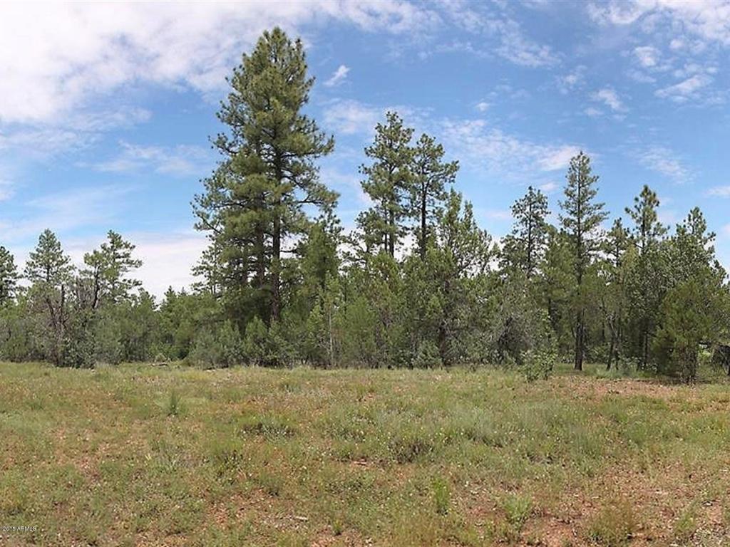 1591 S FALLING LEAF Road, Show Low, AZ 85901
