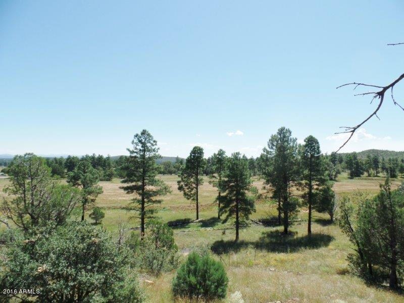6305 State Road 260 Highway --, Show Low, AZ 85901