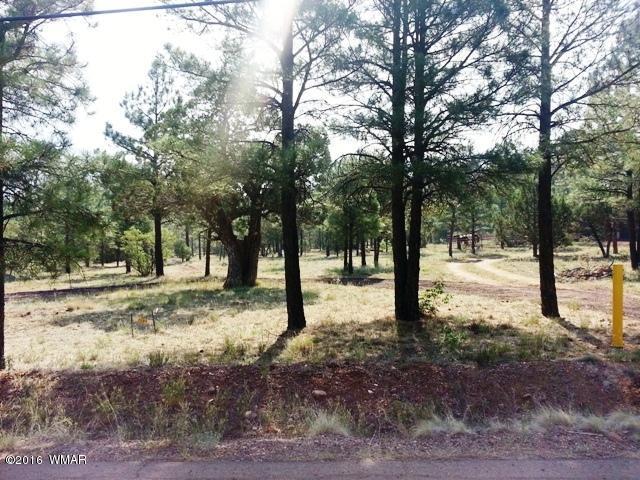 1051 S 11th Street, Show Low, AZ 85901