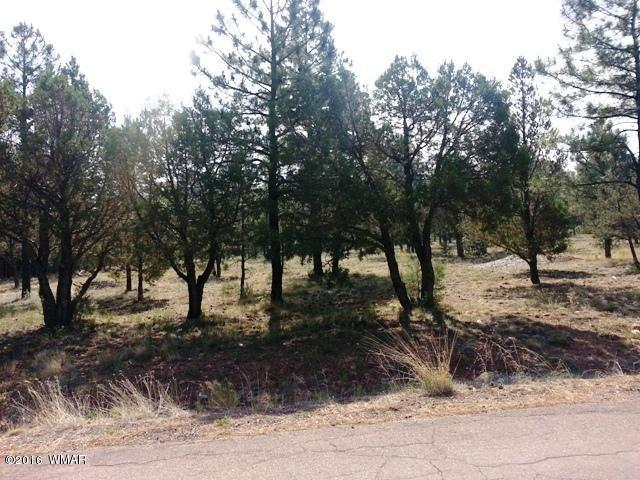 1001 S 11th Street, Show Low, AZ 85901