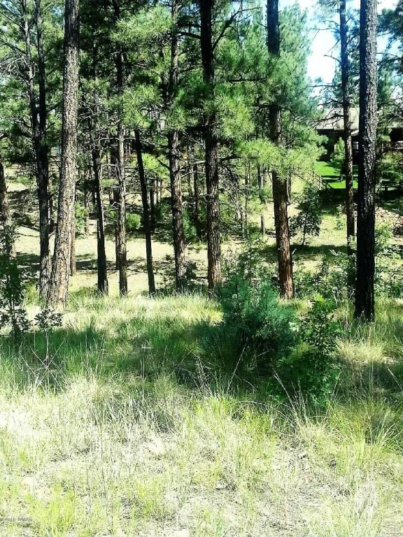 3040 W Alpine Ridge, Show Low, AZ 85901